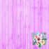 Island Life Collection St. Kitts 12 x 12 Double-Sided Scrapbook Paper by SSC Designs