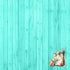Island Life Collection Grand Cayman 12 x 12 Double-Sided Scrapbook Paper by SSC Designs