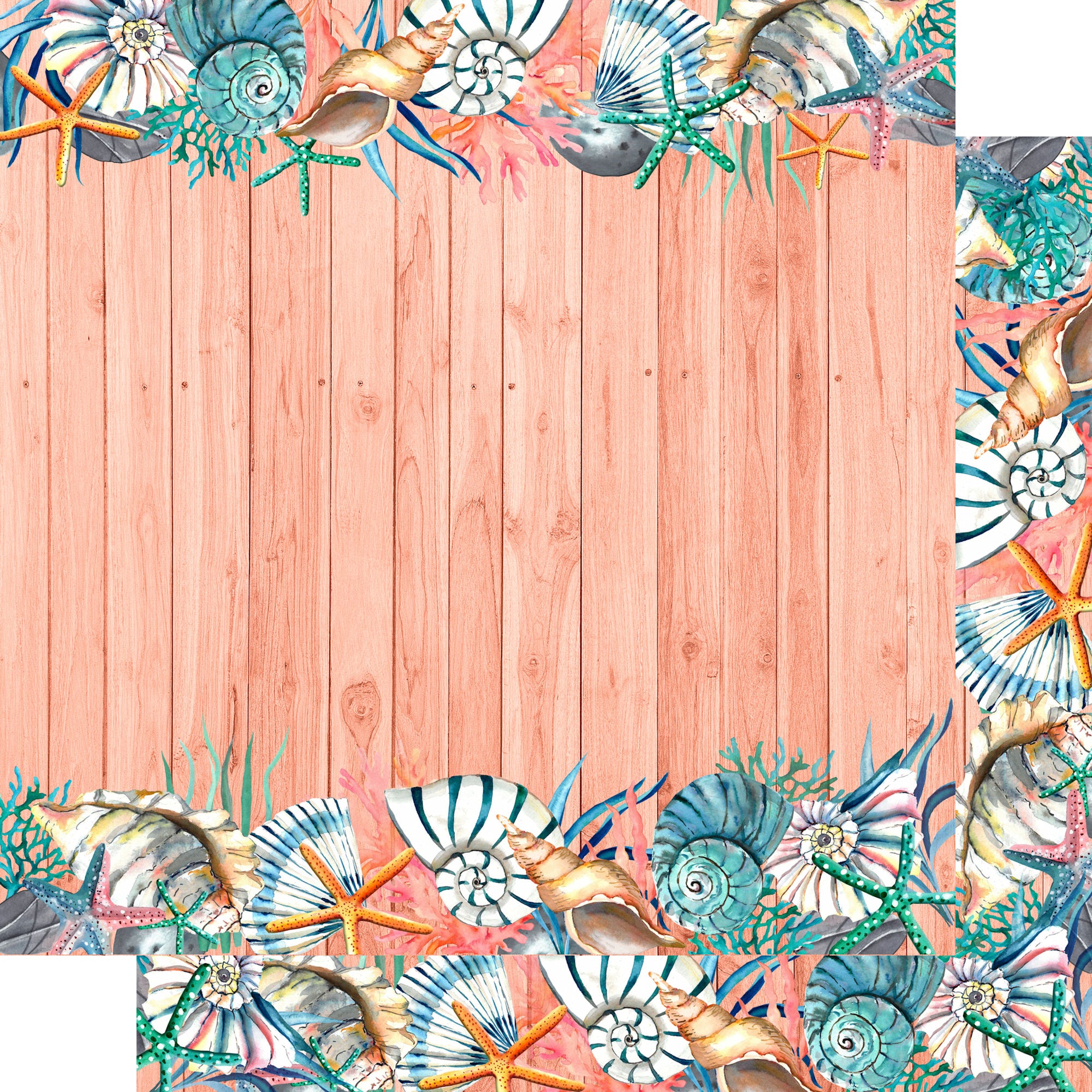 Island Life Collection Seashells 12 x 12 Double-Sided Scrapbook Paper by SSC Designs