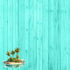 Island Life Collection Sea Turtle 12 x 12 Double-Sided Scrapbook Paper by SSC Designs