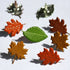 Fall Collection Leaf Scrapbook Brads or Card Embellishments by Eyelet Outlet - Pkg. of 12