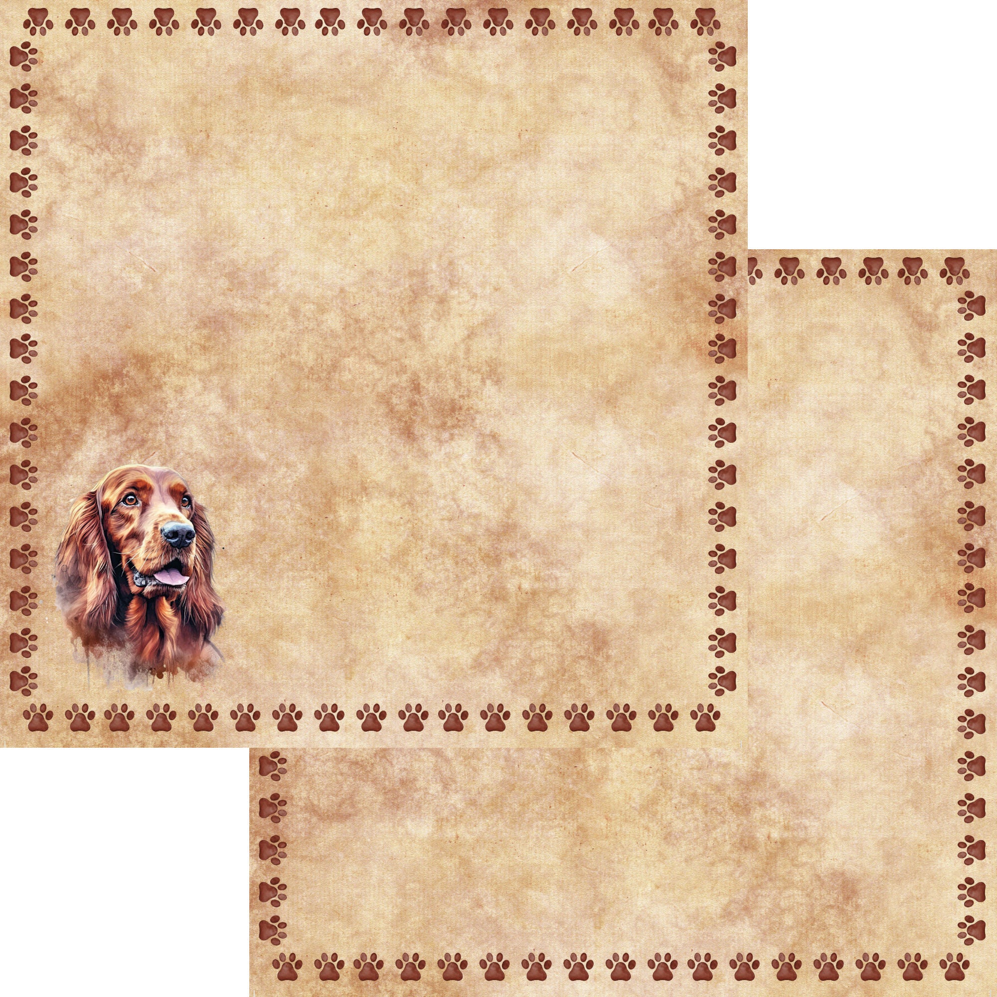 Dog Breeds Collection Irish Setter 12 x 12 Double-Sided Scrapbook Paper by SSC Designs