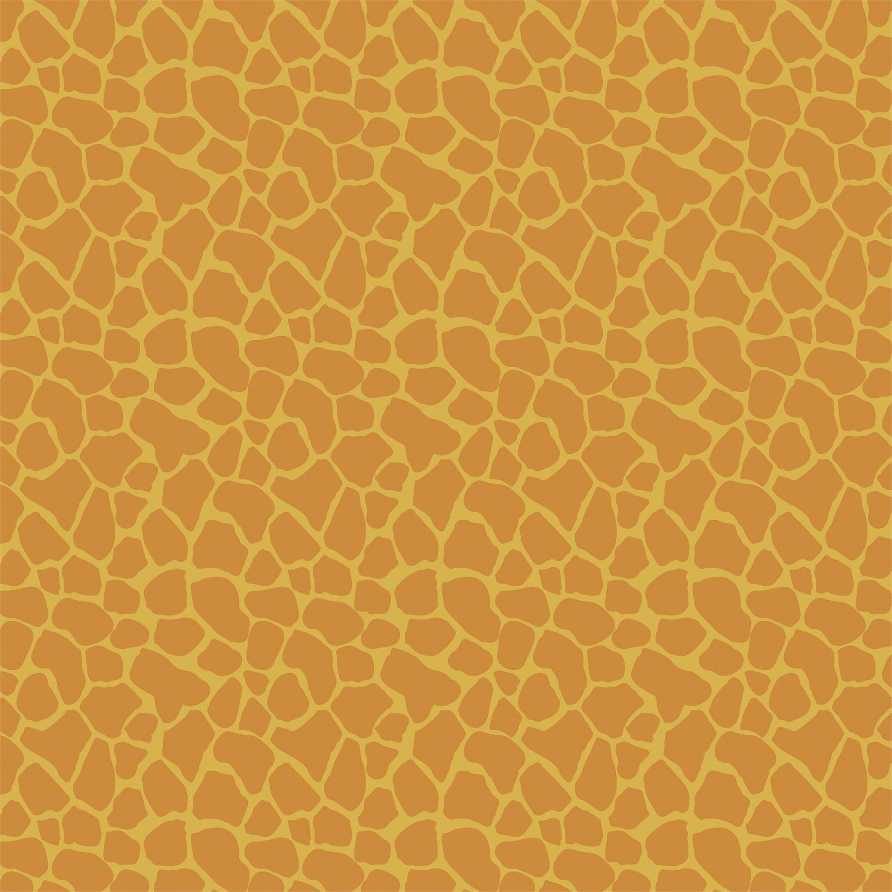 Little Explorer Collection Wild & Free 12 x 12 Double-Sided Scrapbook Paper by Echo Park Paper - Scrapbook Supply Companies