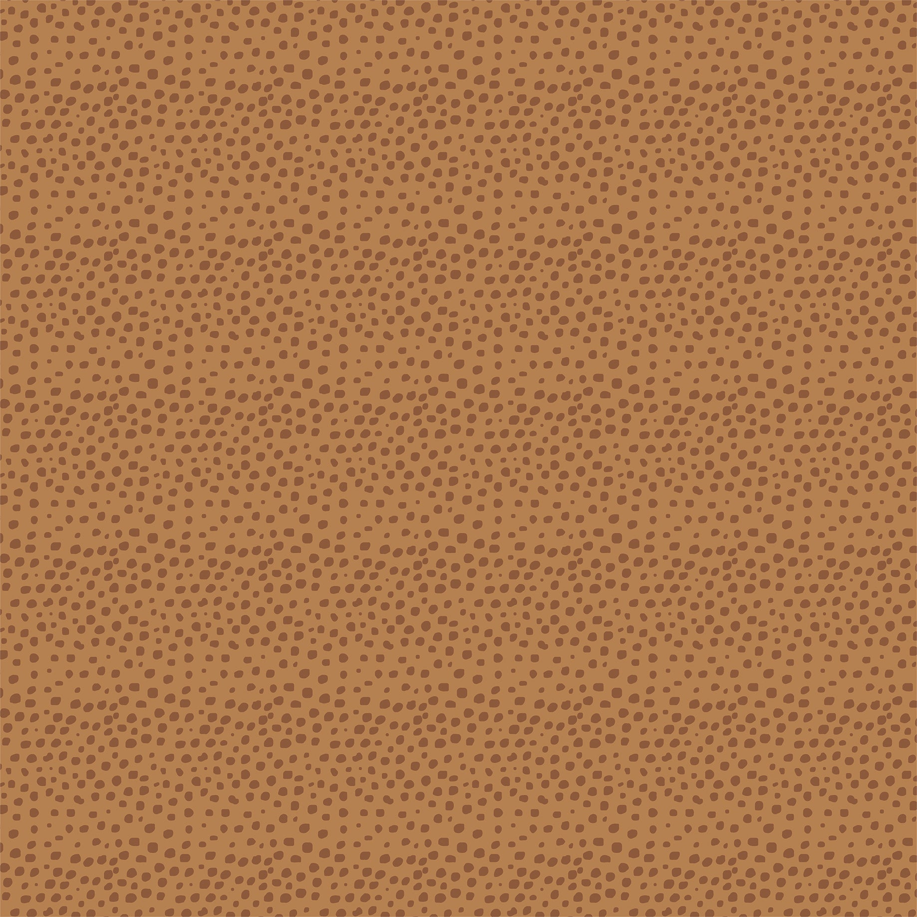 Little Explorer Collection Be Brave 12 x 12 Double-Sided Scrapbook Paper by Echo Park Paper