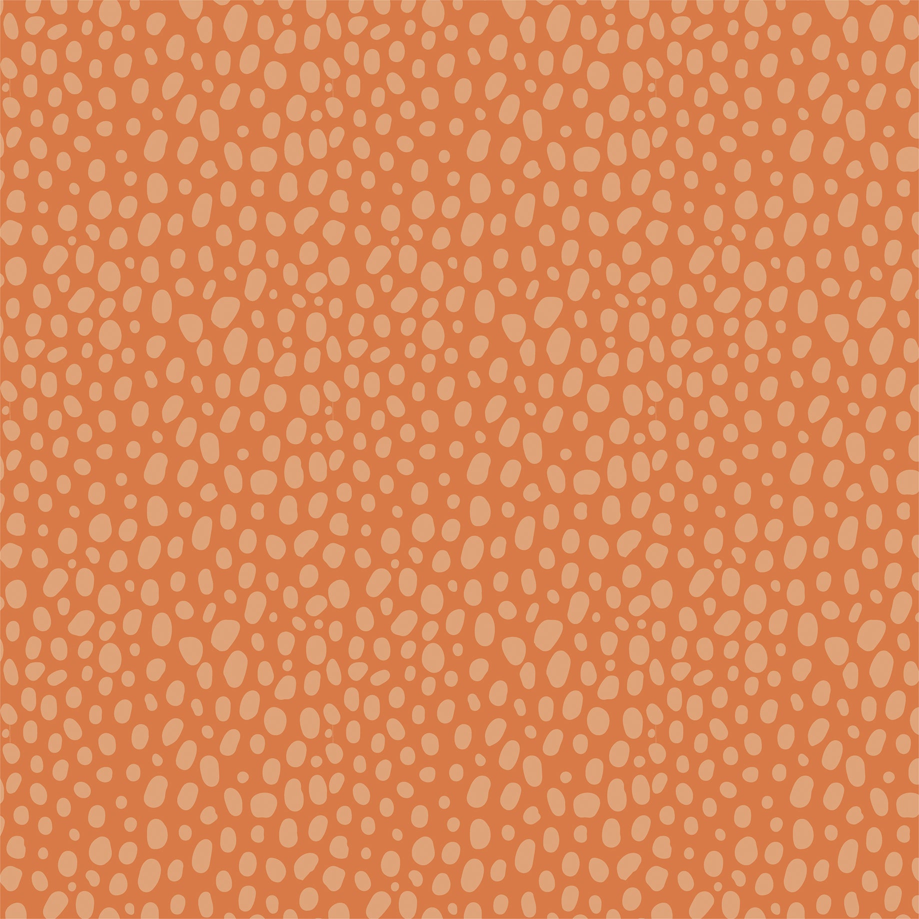 Little Explorer Collection Walk On The Wild Side 12 x 12 Double-Sided Scrapbook Paper by Echo Park Paper