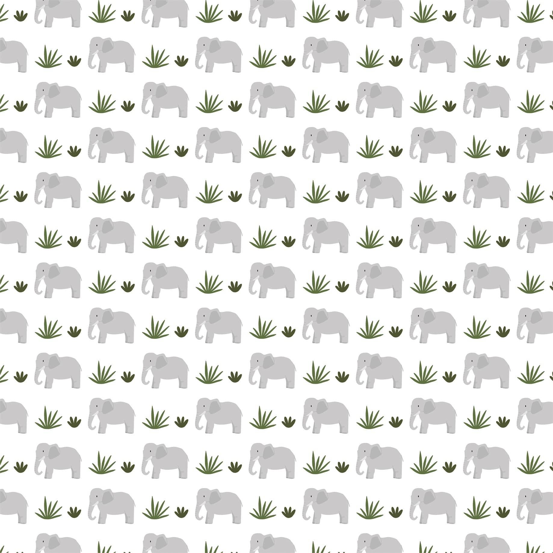 Little Explorer Collection Exploring Elephants 12 x 12 Double-Sided Scrapbook Paper by Echo Park Paper - Scrapbook Supply Companies