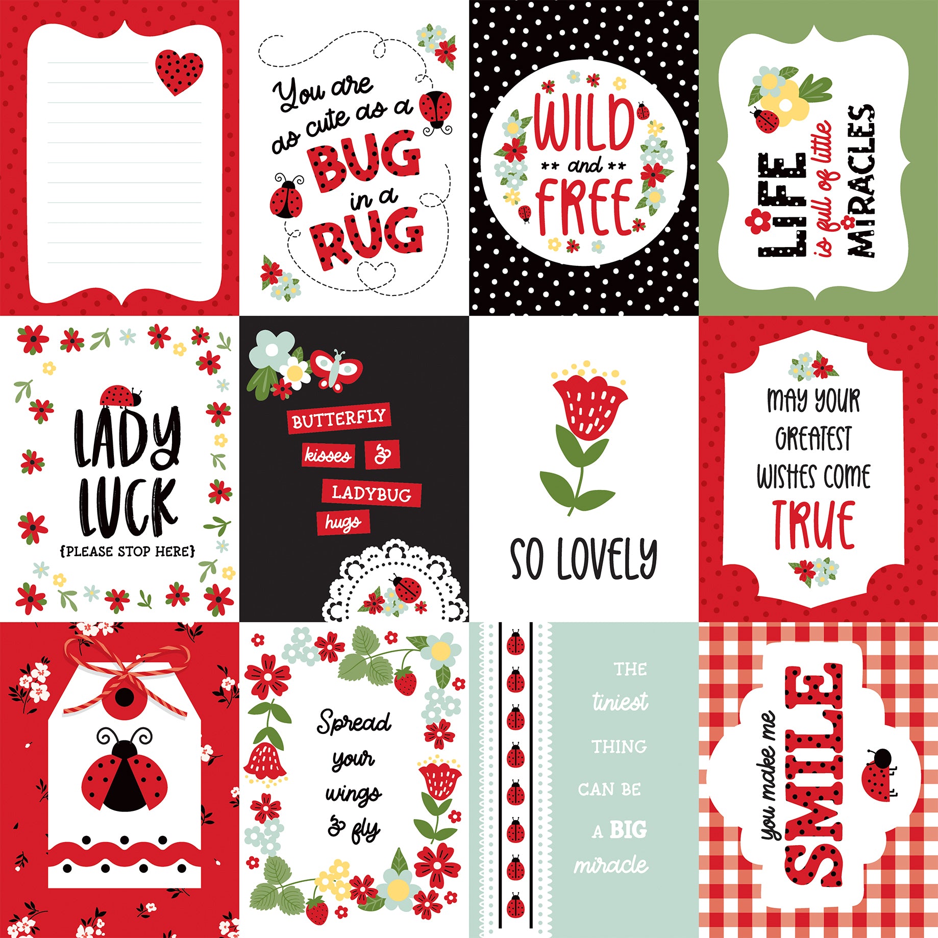 Little Ladybug Collection 3x4 Journaling Cards 12 x 12 Double-Sided Scrapbook Paper by Echo Park Paper