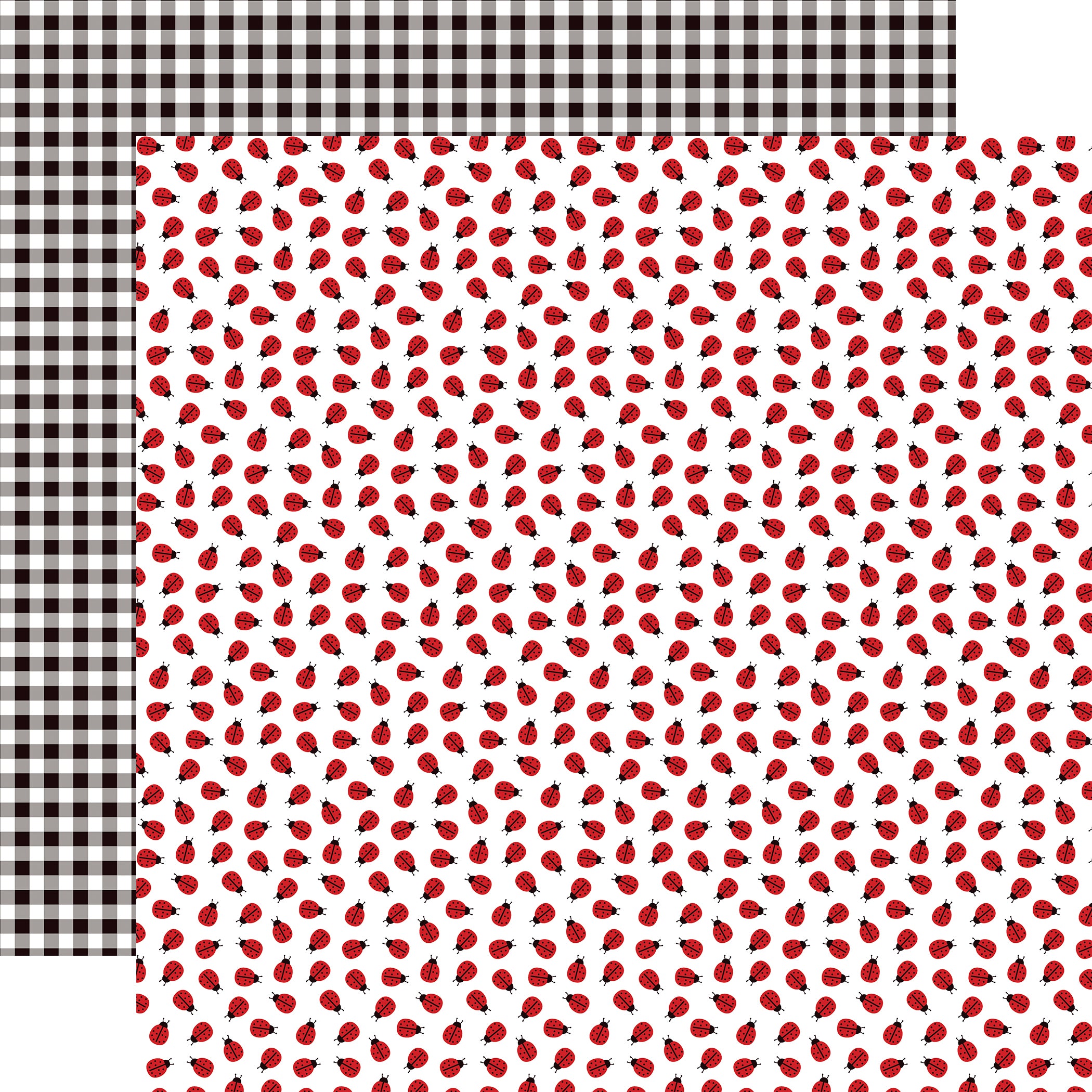 Little Ladybug Collection Little Ladybug 12 x 12 Double-Sided Scrapbook Paper by Echo Park Paper