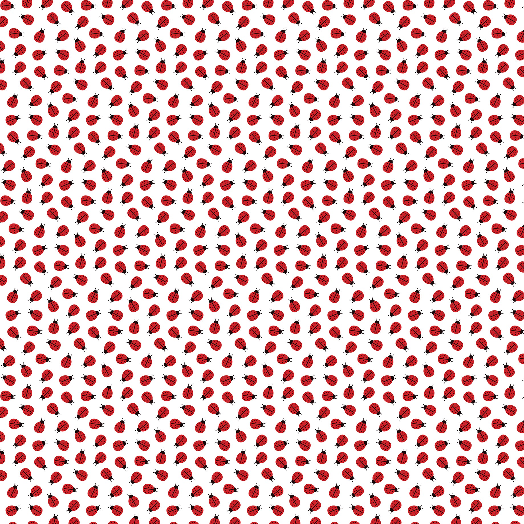 Little Ladybug Collection Little Ladybug 12 x 12 Double-Sided Scrapbook Paper by Echo Park Paper