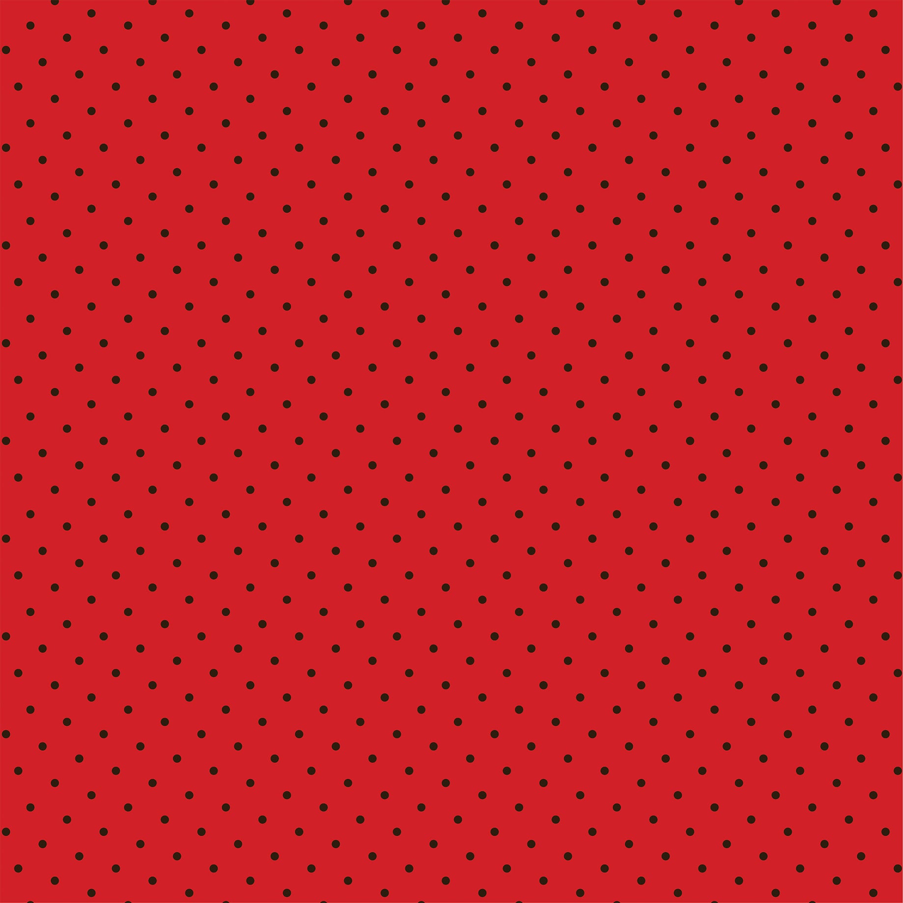 Little Ladybug Collection Ladybug Garden 12 x 12 Double-Sided Scrapbook Paper by Echo Park Paper