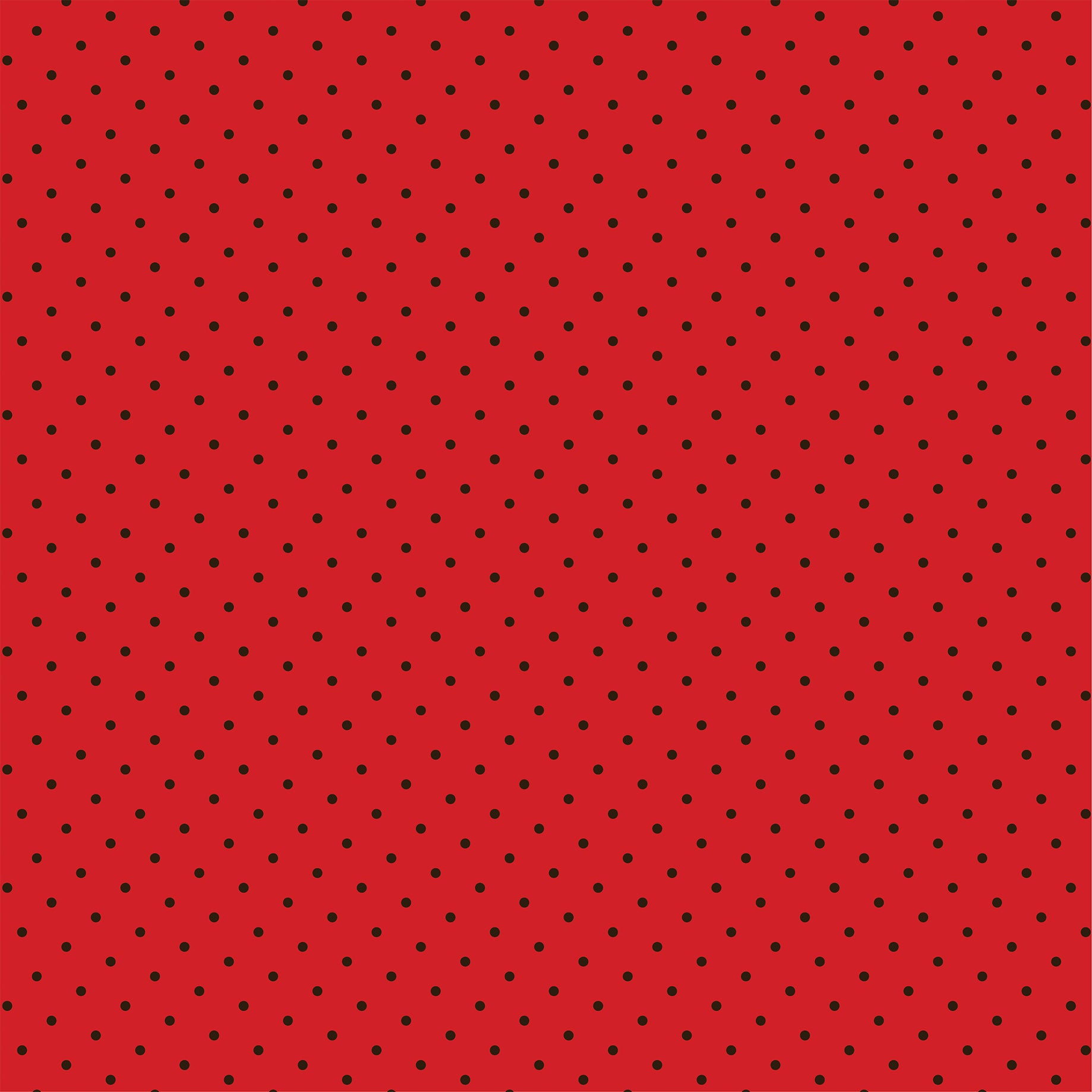 Little Ladybug Collection Ladybug Garden 12 x 12 Double-Sided Scrapbook Paper by Echo Park Paper