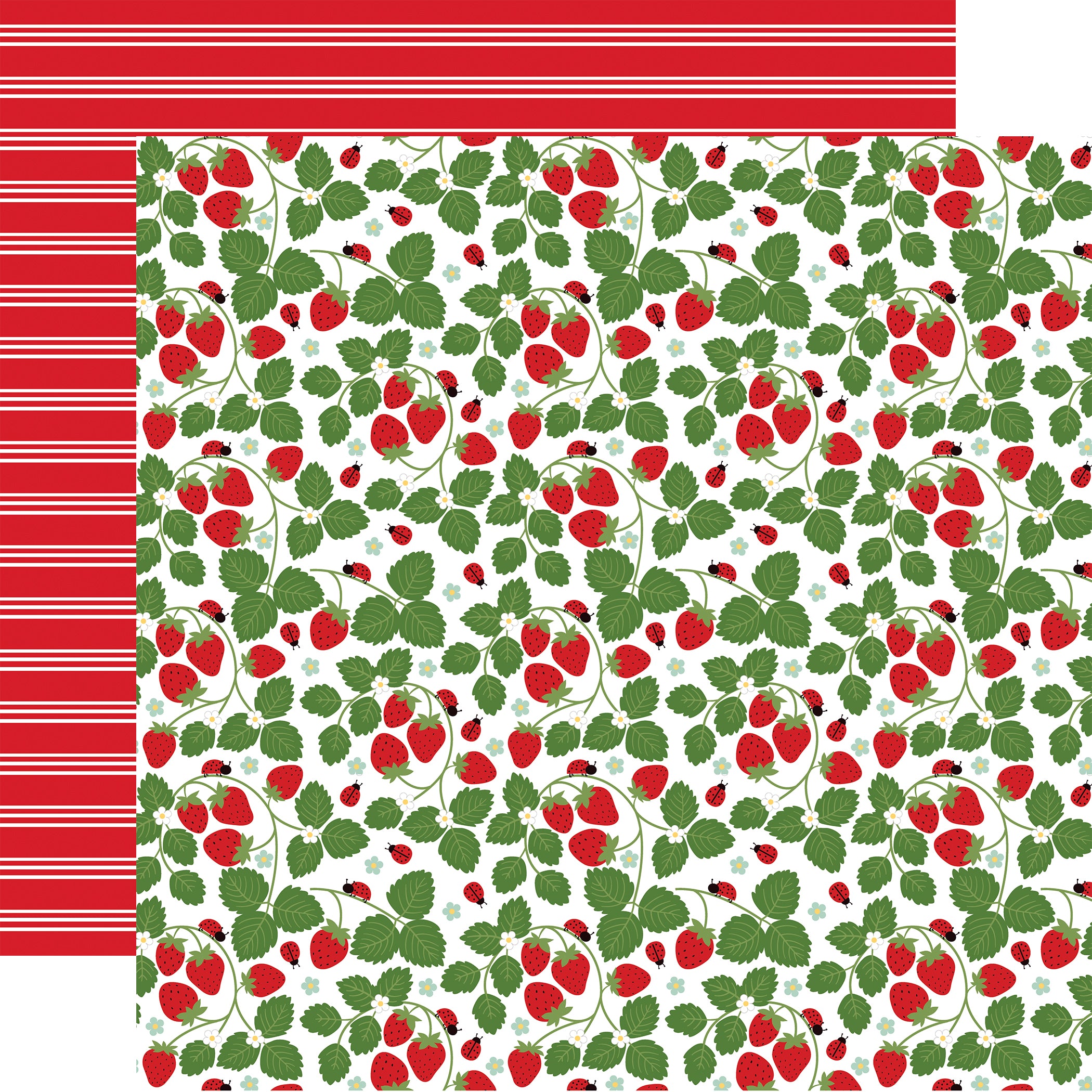 Little Ladybug Collection Sweet Strawberries 12 x 12 Double-Sided Scrapbook Paper by Echo Park Paper