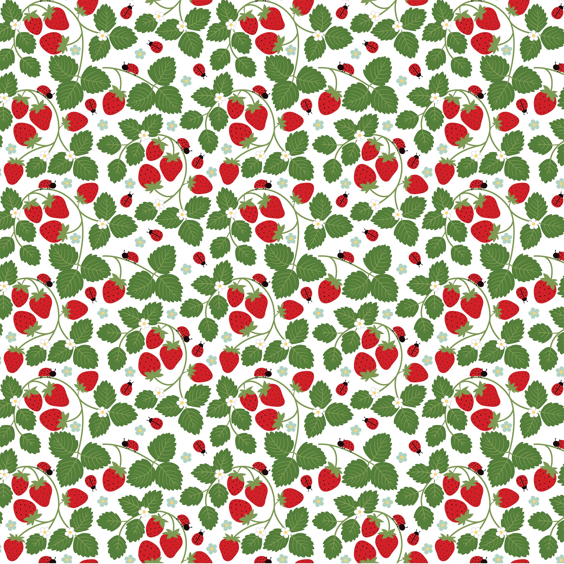 Little Ladybug Collection Sweet Strawberries 12 x 12 Double-Sided Scrapbook Paper by Echo Park Paper