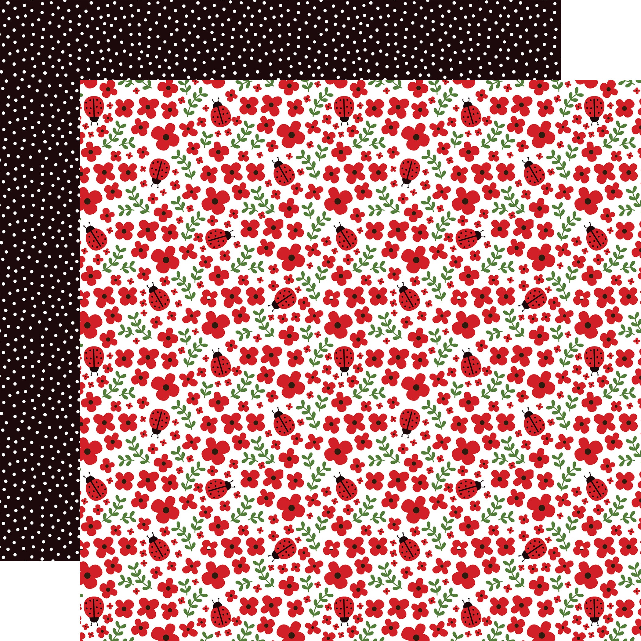 Little Ladybug Collection Ladybug Hugs 12 x 12 Double-Sided Scrapbook Paper by Echo Park Paper