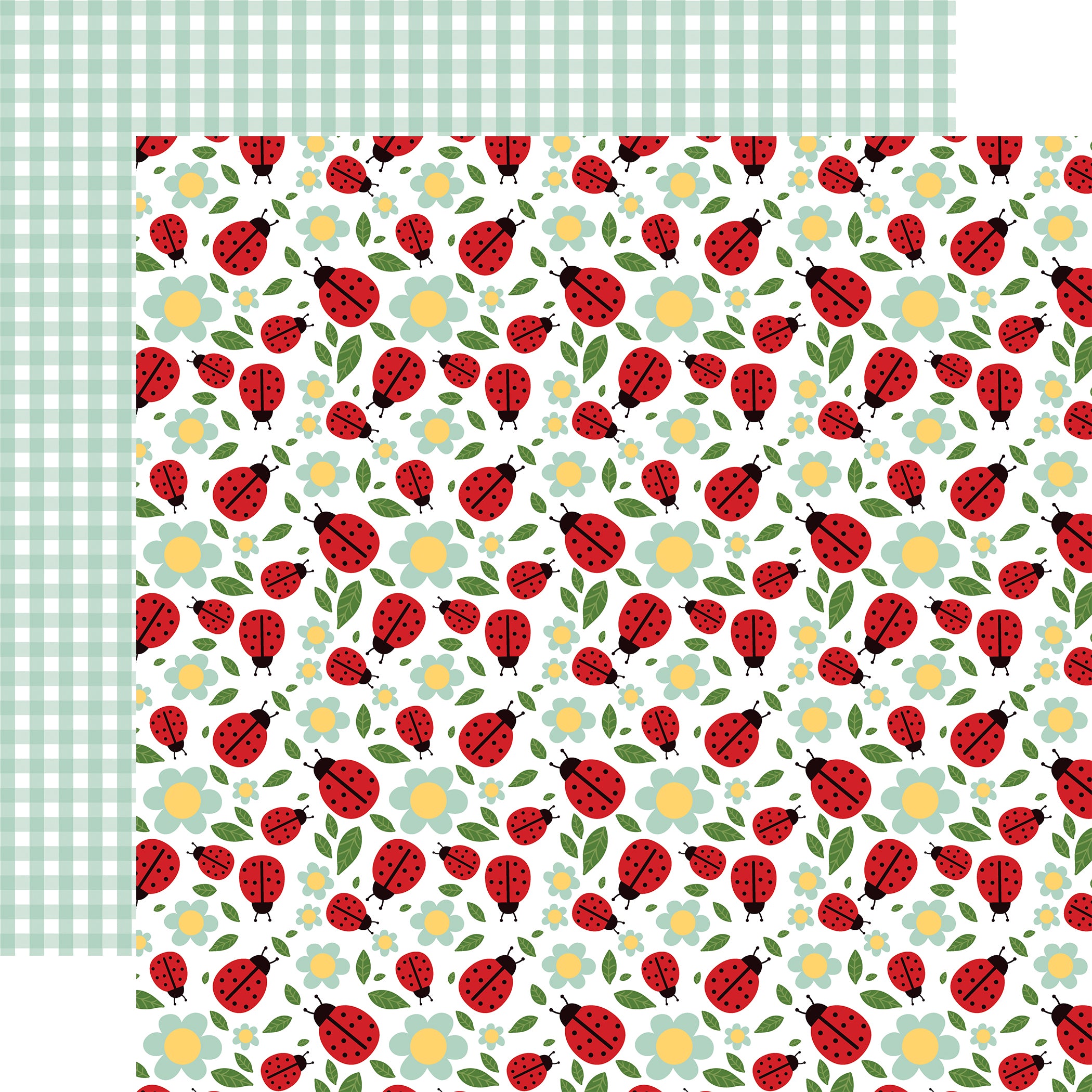 Little Ladybug Collection Cute As A Bug 12 x 12 Double-Sided Scrapbook Paper by Echo Park Paper