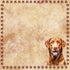 Dog Breeds Collection Labrador Retriever 2 12 x 12 Double-Sided Scrapbook Paper by SSC Designs