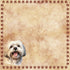 Dog Breeds Collection Lhasa Apso 12 x 12 Double-Sided Scrapbook Paper by SSC Designs