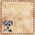 Dog Breeds Collection Miniature Schnauzer 12 x 12 Double-Sided Scrapbook Paper by SSC Designs