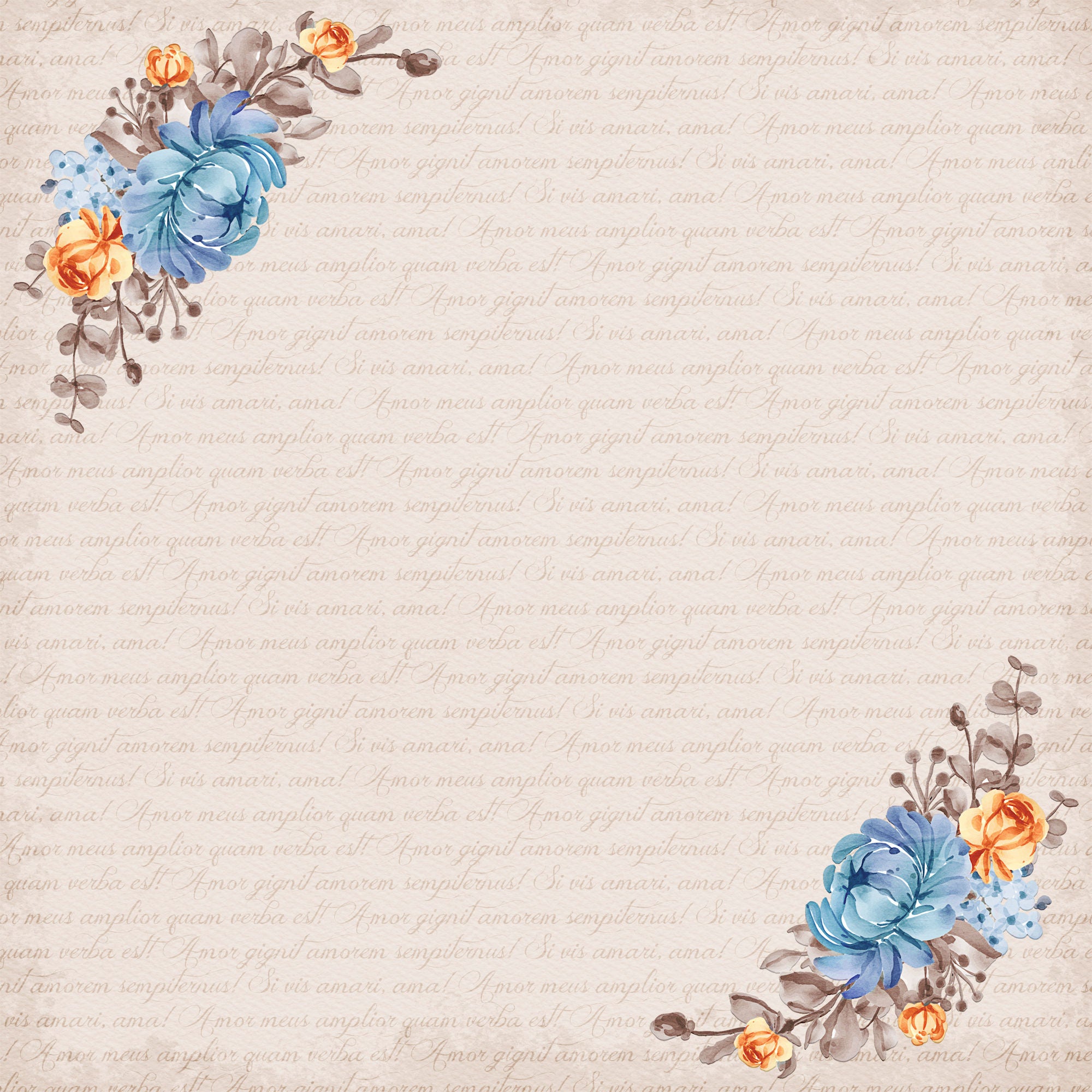 Now & Forever Collection Blushing Bride 12 x 12 Double-Sided Scrapbook Paper by SSC Designs