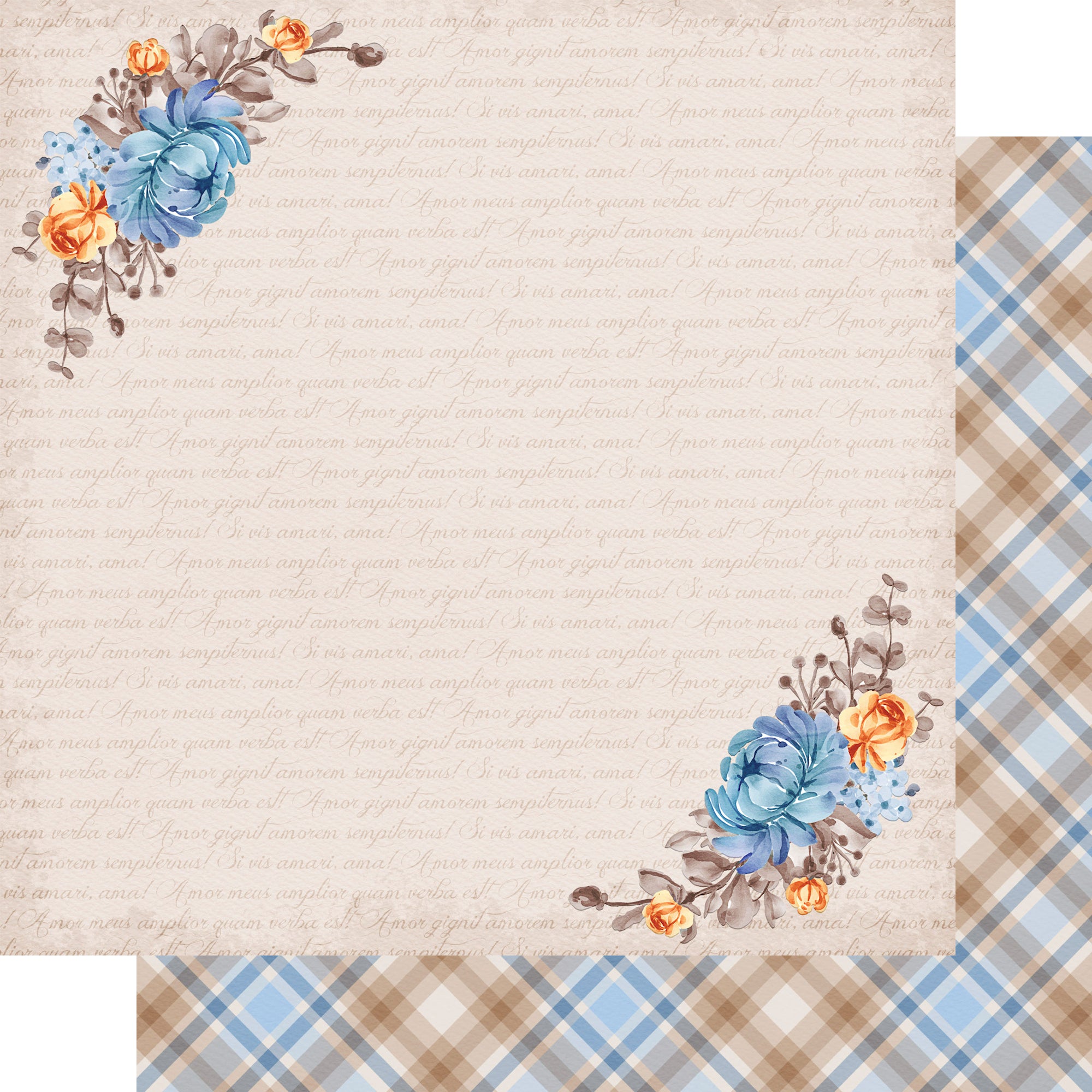 Now & Forever Collection Blushing Bride 12 x 12 Double-Sided Scrapbook Paper by SSC Designs