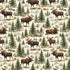 Norway Collection Explore Norway 12 x 12 Double-Sided Scrapbook Paper by SSC Designs