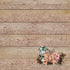 National Parks Collection National Park Signs 12 x 12 Double-Sided Scrapbook Paper by SSC Designs