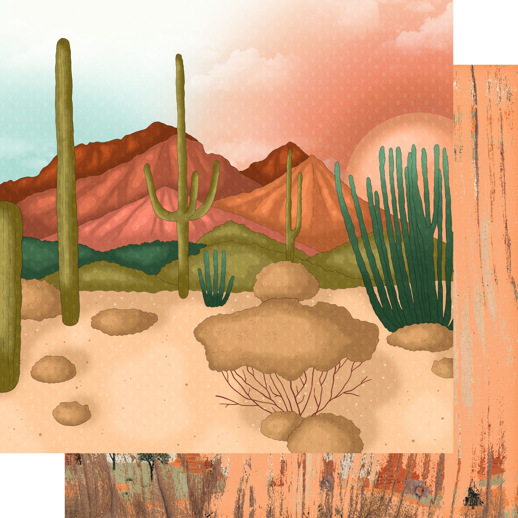 National Parks Collection Desert Cactus 12 x 12 Double-Sided Scrapbook Paper by SSC Designs