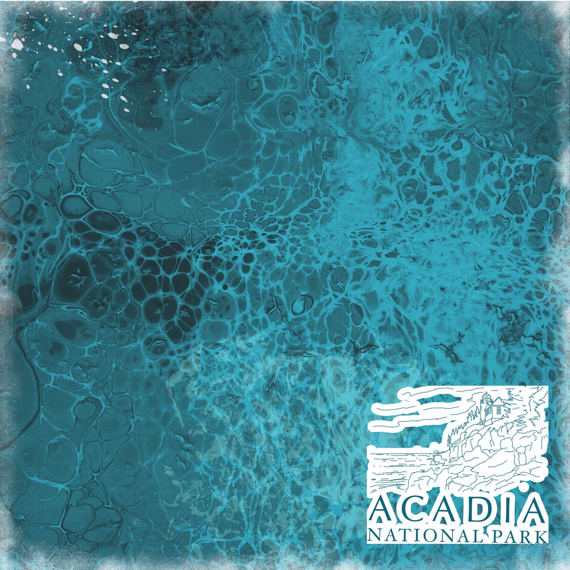 National Parks Collection Acadia National Park 12 x 12 Double-Sided Scrapbook Paper by SSC Designs