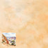 National Parks Collection Scenic Views 12 x 12 Double-Sided Scrapbook Paper by SSC Designs