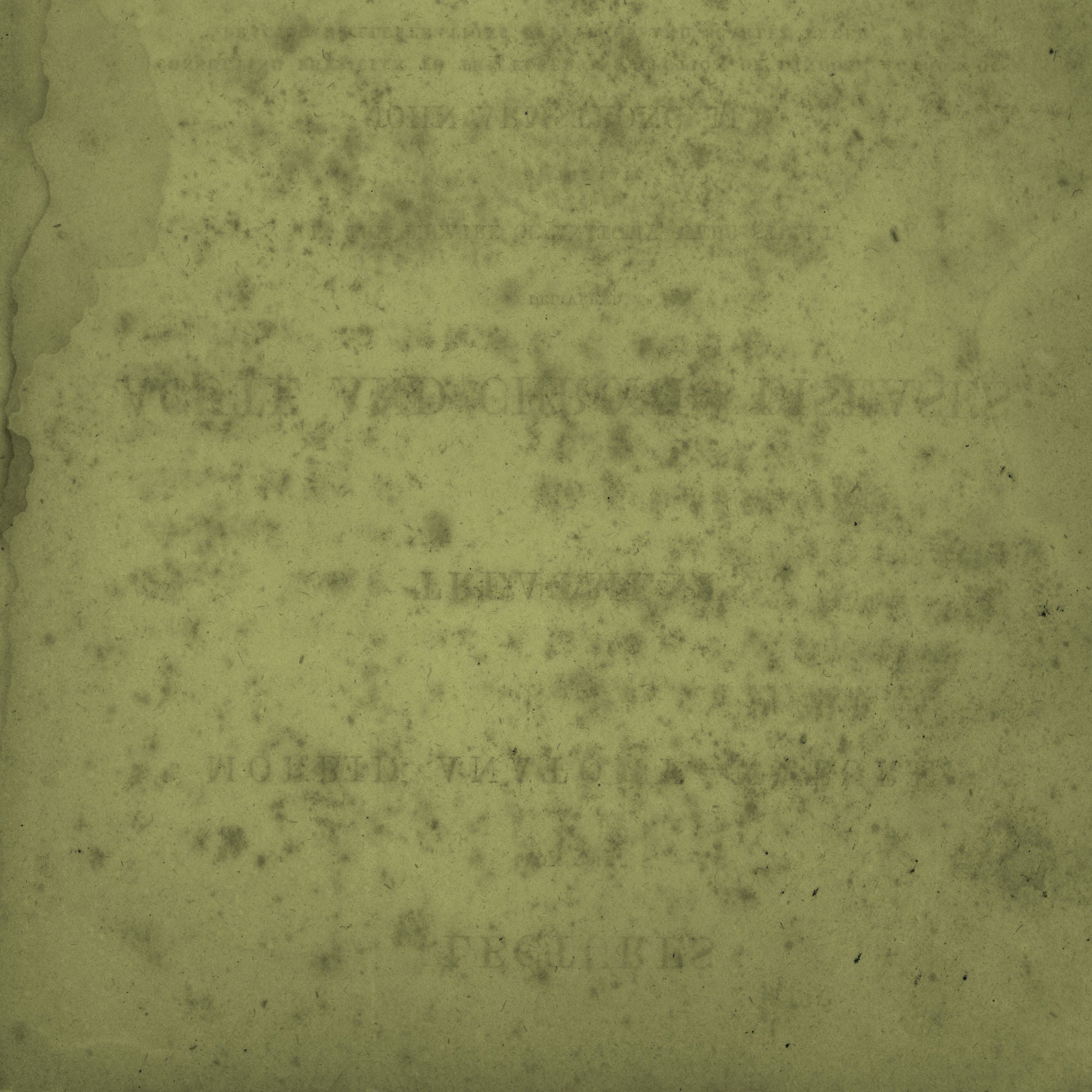 Outdoor Adventures Collection Mud Puddles 12 x 12 Double-Sided Scrapbook Paper by SSC Designs