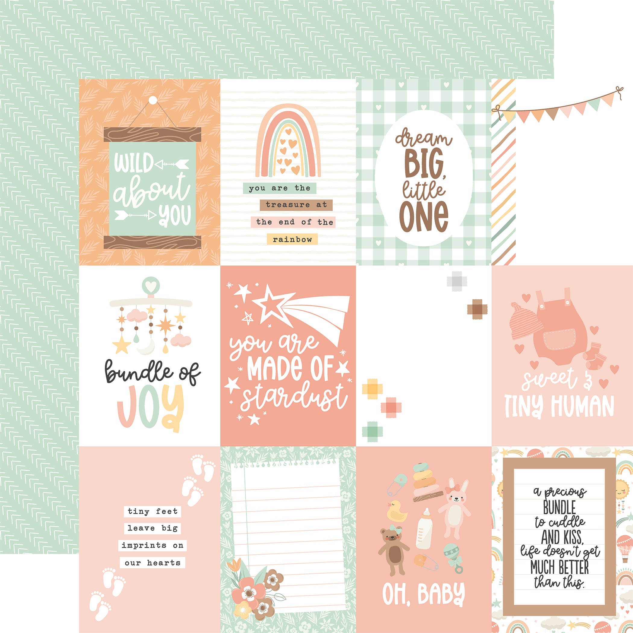 Our Baby Girl Collection 3x4 Journaling Cards 12 x 12 Double-Sided Scrapbook Paper by Echo Park Paper