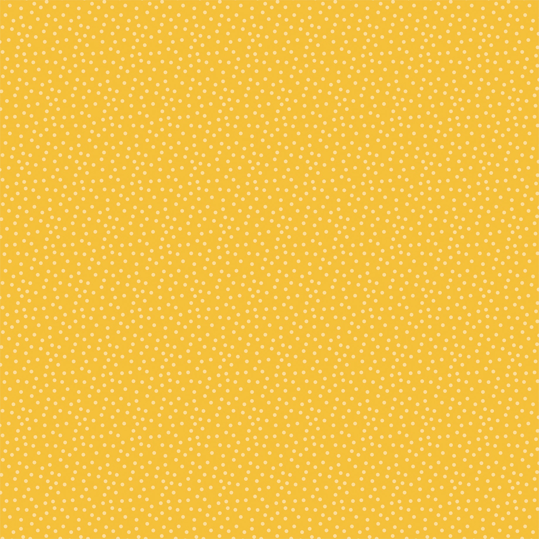 Off to School Collection School Bus Ride 12 x 12 Double-Sided Scrapbook Paper by Echo Park Paper