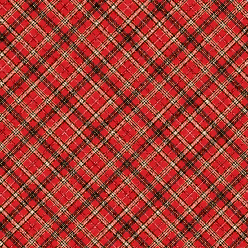 Dear Santa Collection Christmas Tags 12 x 12 Double-Sided Scrapbook Paper by Paper House Productions