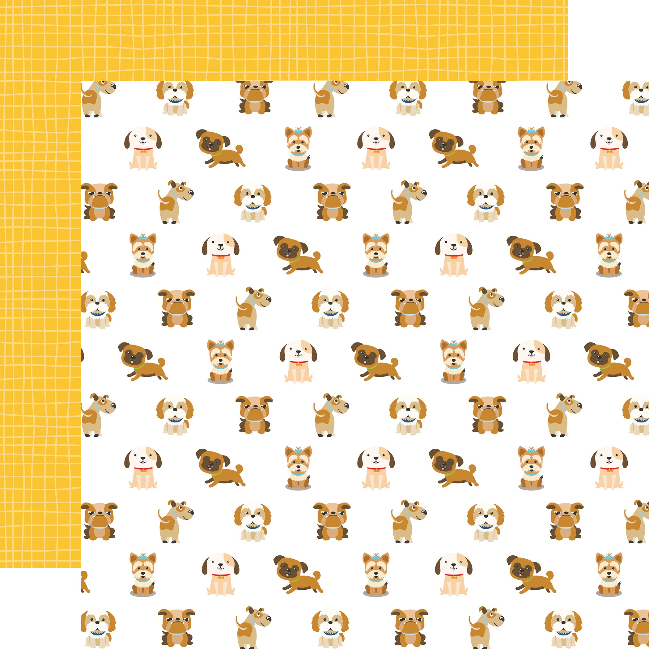 Pets 12 x 12 Scrapbook Collection Kit by Echo Park Paper - 13 Pieces