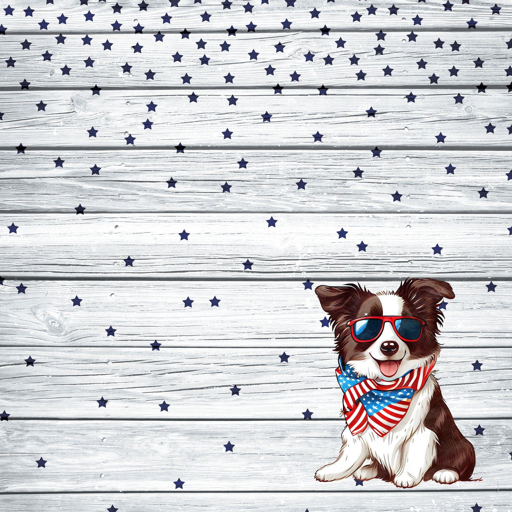 Patriotic Pups Collection Border Collie 12 x 12 Double-Sided Scrapbook Paper by SSC Designs - Scrapbook Supply Companies