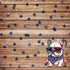 Patriotic Pups Collection French Bulldog 12 x 12 Double-Sided Scrapbook Paper by SSC Designs - Scrapbook Supply Companies