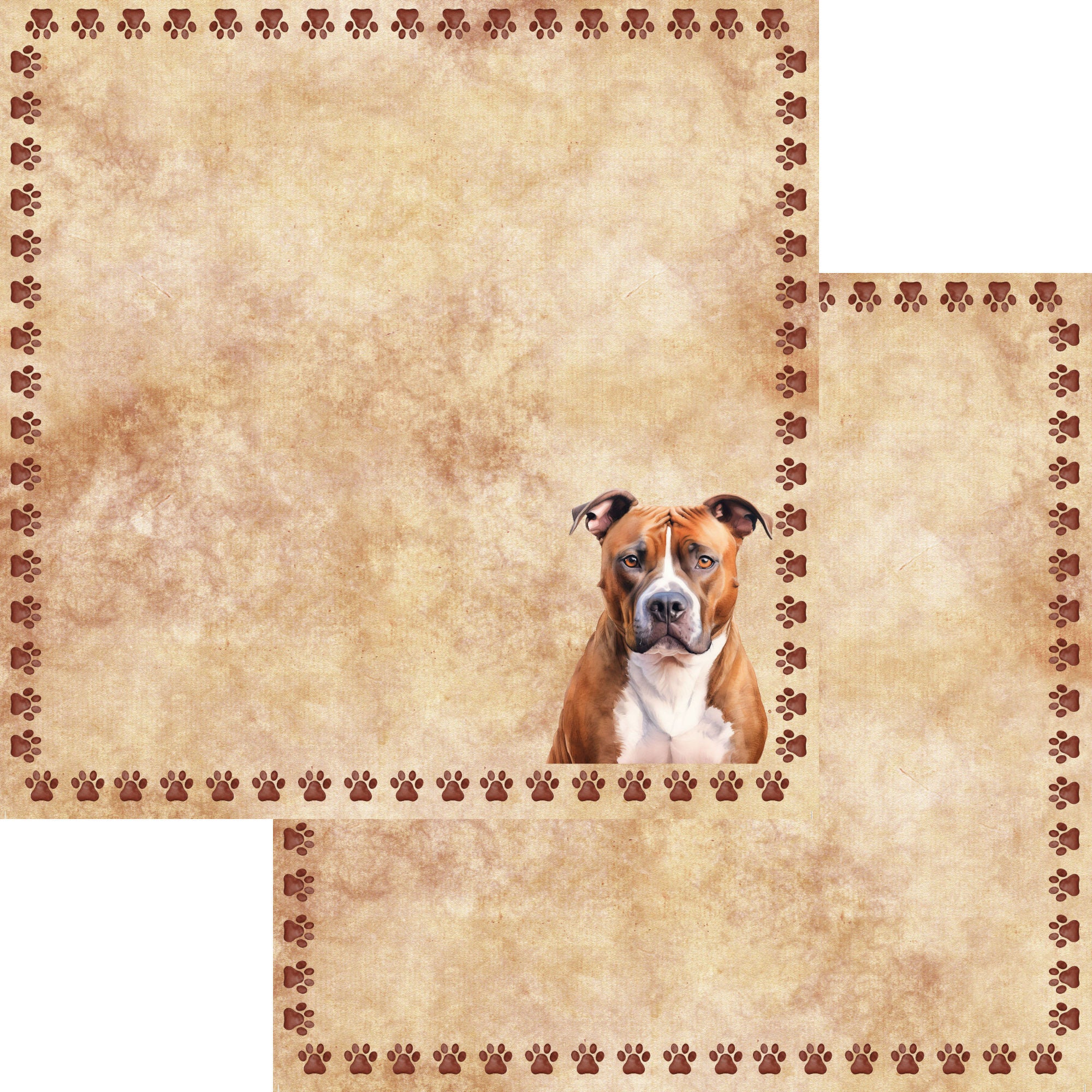 Dog Breeds Collection Pitbull 12 x 12 Double-Sided Scrapbook Paper by SSC Designs