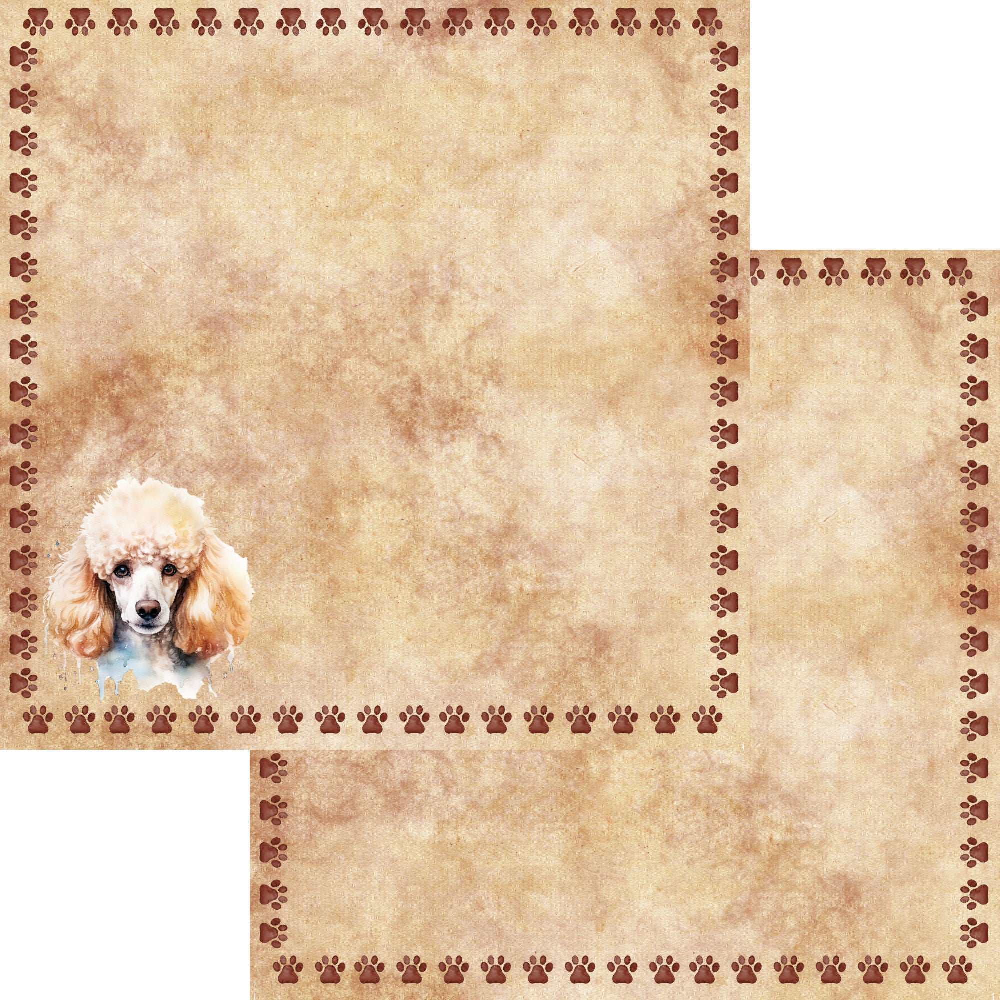Dog Breeds Collection Poodle 12 x 12 Double-Sided Scrapbook Paper by SSC Designs