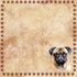 Dog Breeds Collection Pug 12 x 12 Double-Sided Scrapbook Paper by SSC Designs