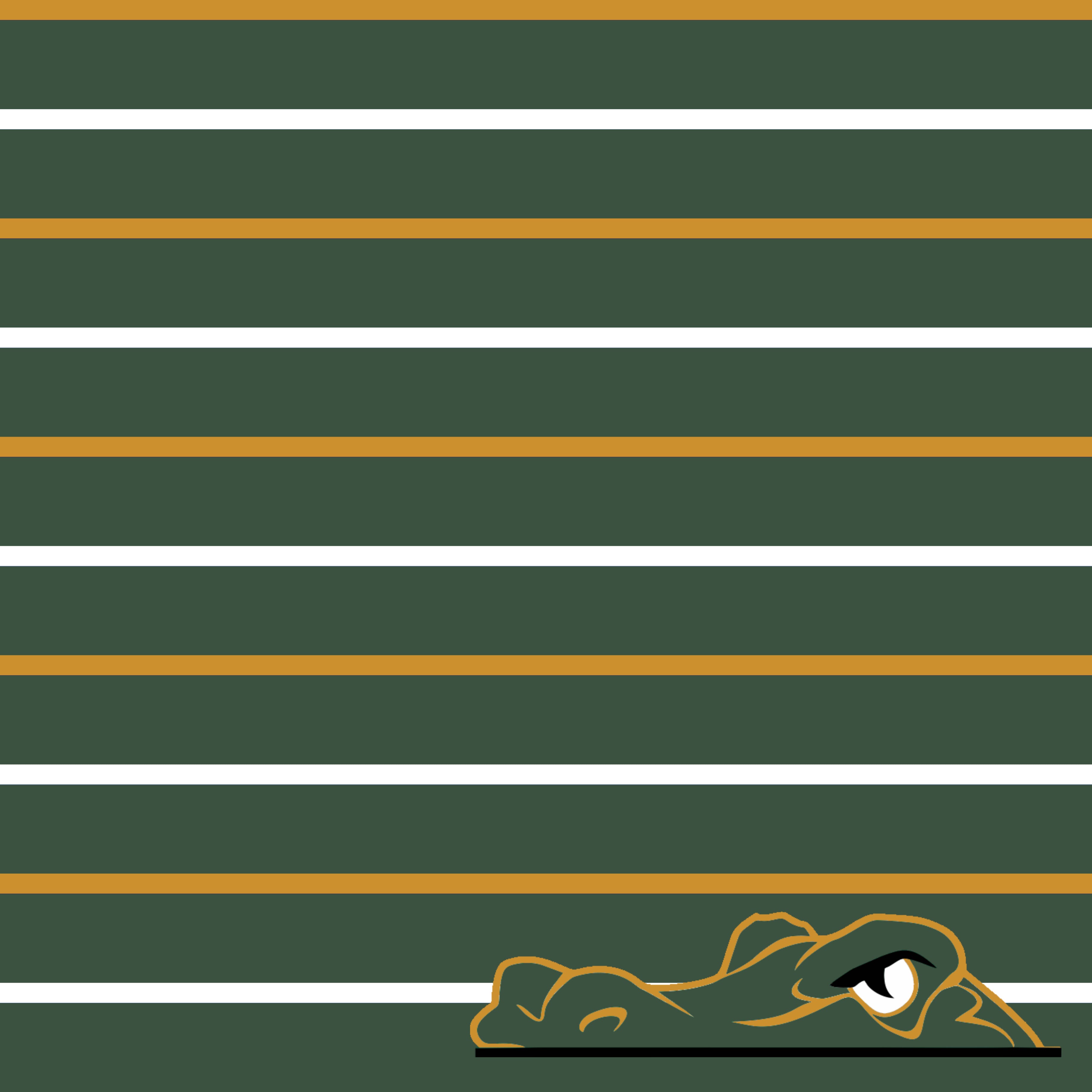 River Bluff High School Custom Gator 12 x 12 Double-Sided Scrapbook Paper by SSC Designs
