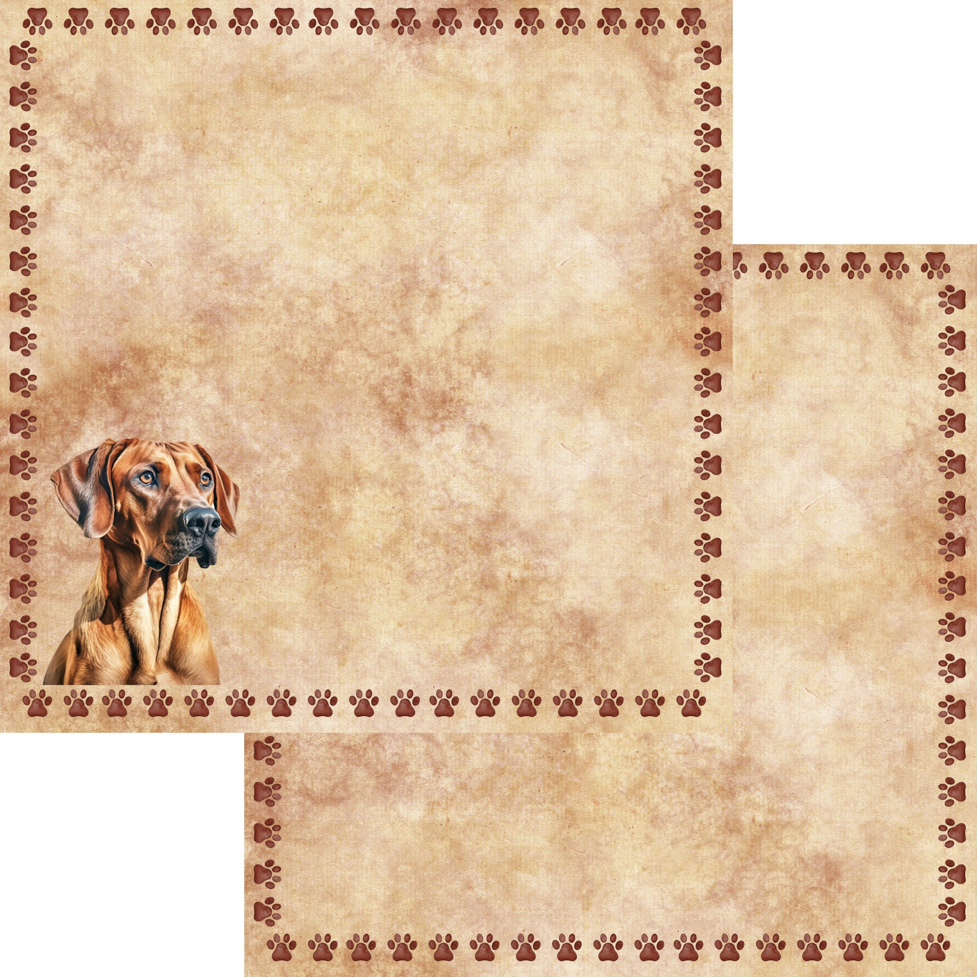 Dog Breeds Collection Rhodesian Ridgeback 12 x 12 Double-Sided Scrapbook Paper by SSC Designs
