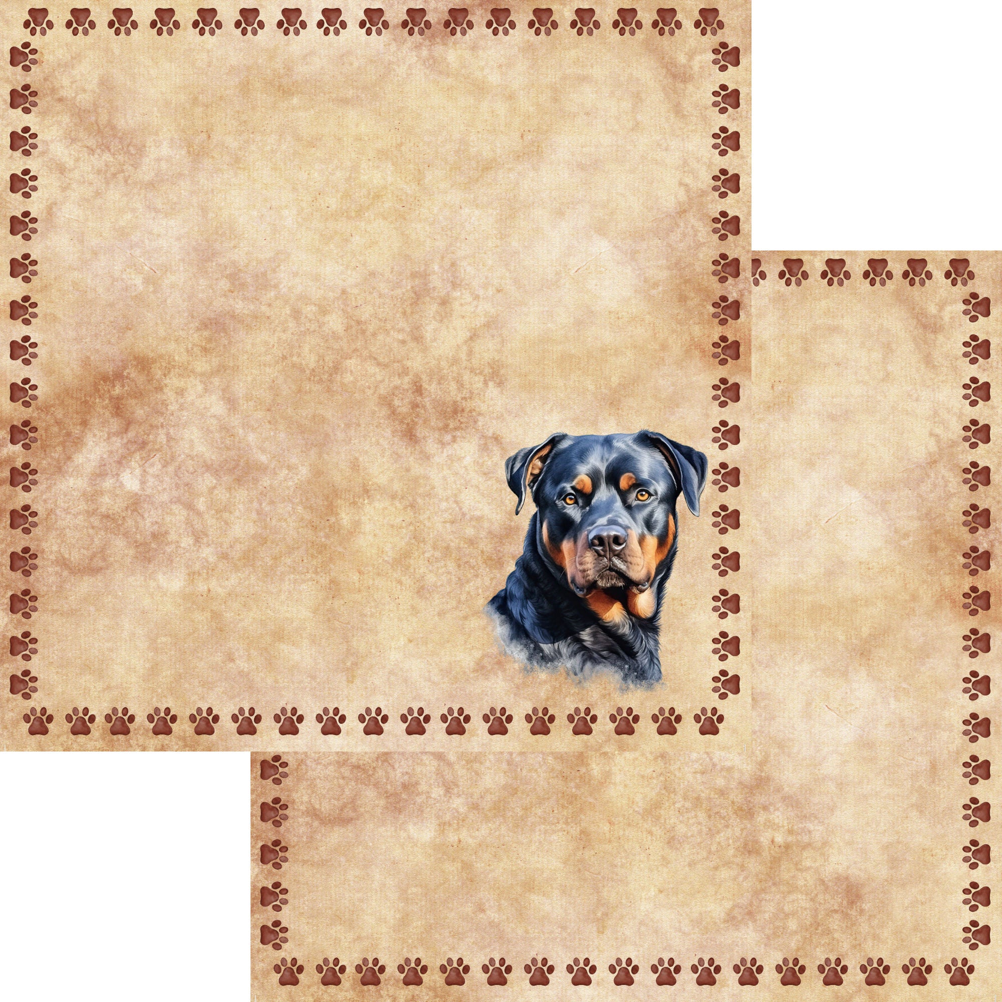Dog Breeds Collection Rottweiler 12 x 12 Double-Sided Scrapbook Paper by SSC Designs