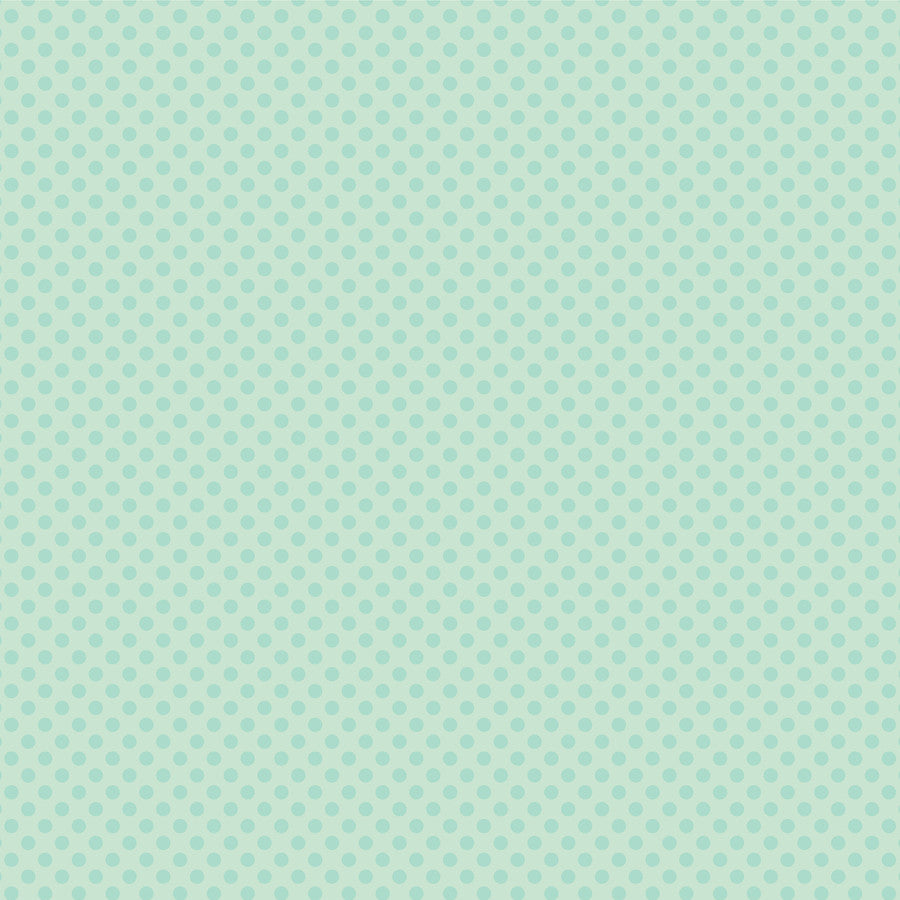 Sweet Baby Boy Collection 3x4 Journaling Cards 12 x 12 Double-Sided Scrapbook Paper by Echo Park Paper