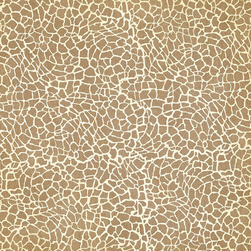 Wild & Free Collection Savanna Babies 12 x 12 Double-Sided Scrapbook Paper by Graphic 45