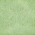 Wild & Free Collection Monkey Trouble 12 x 12 Double-Sided Scrapbook Paper by Graphic 45