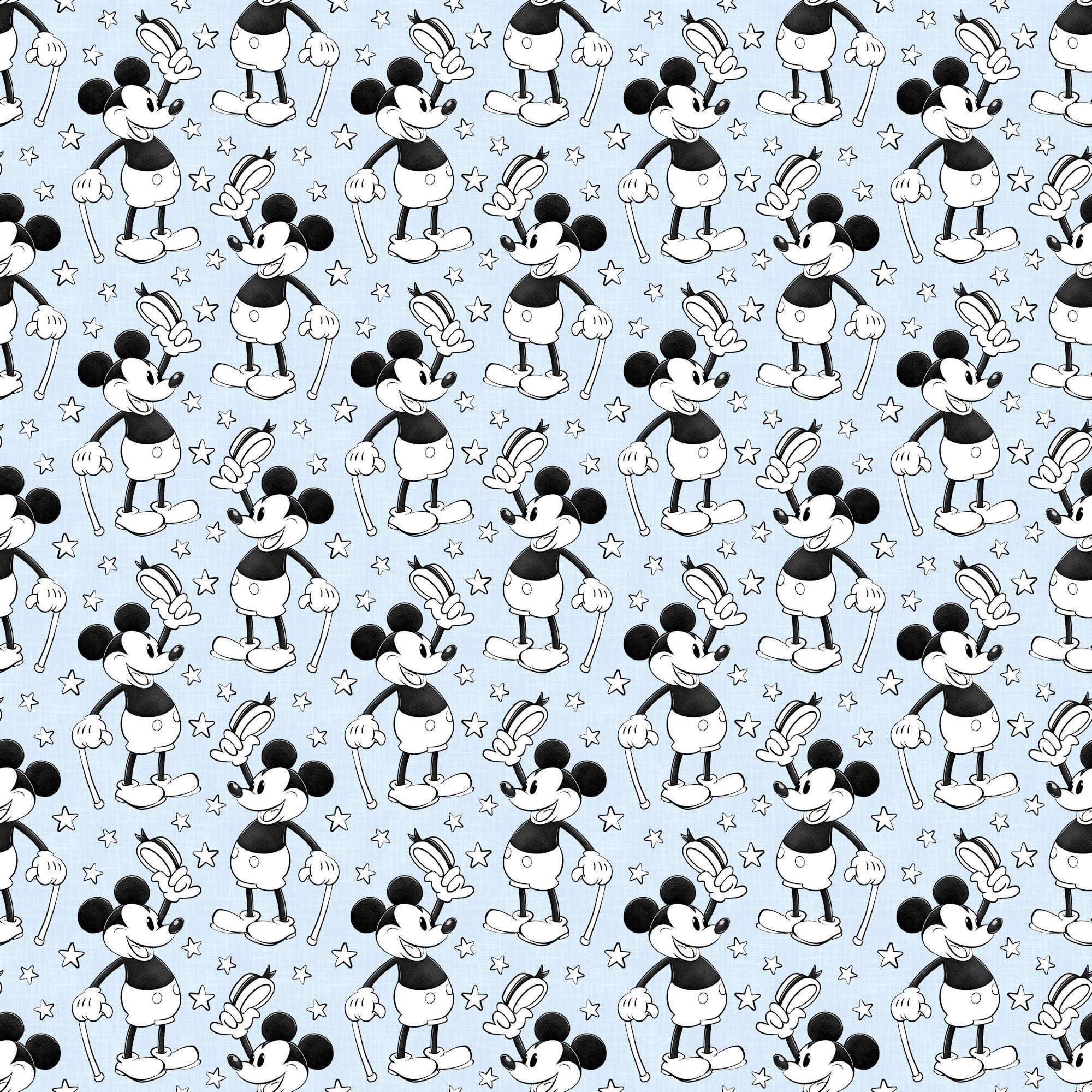 Steamboat Willie Collection Steamboat Stripes 12 x 12 Double-Sided Scrapbook Paper by SSC Designs