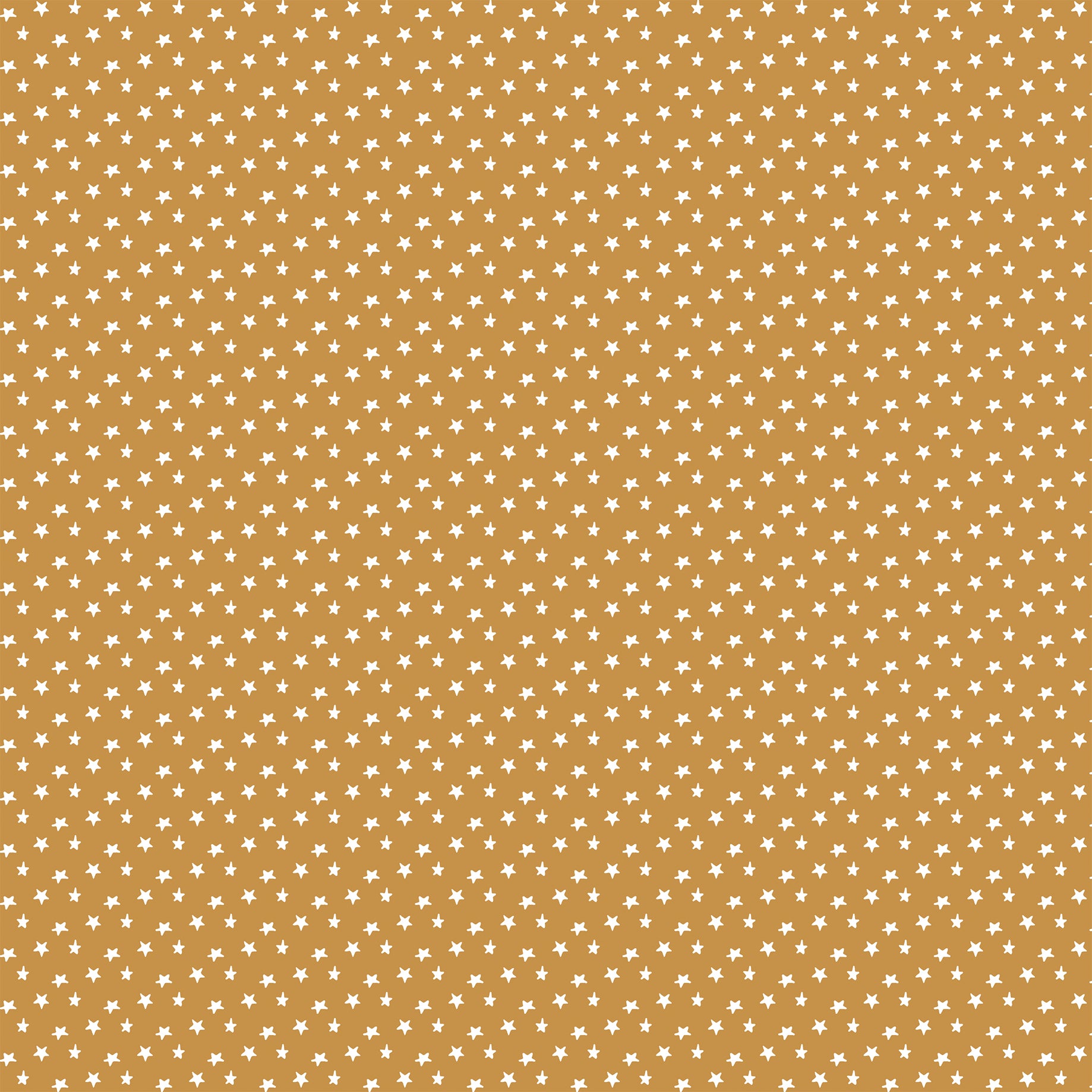 Special Delivery Baby Boy Collection Tiny Boy Clothes 12 x 12 Double-Sided Scrapbook Paper by Echo Park Paper