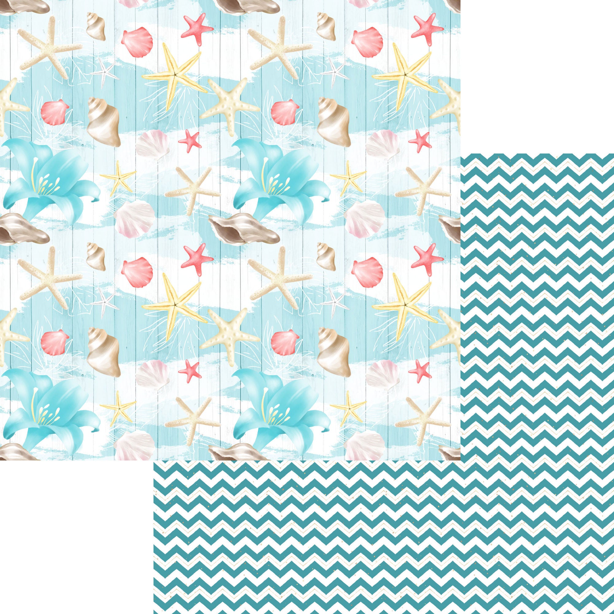Nautical Summer Collection Seashell Collage 12 x 12 Double-Sided Scrapbook Paper by SSC Designs
