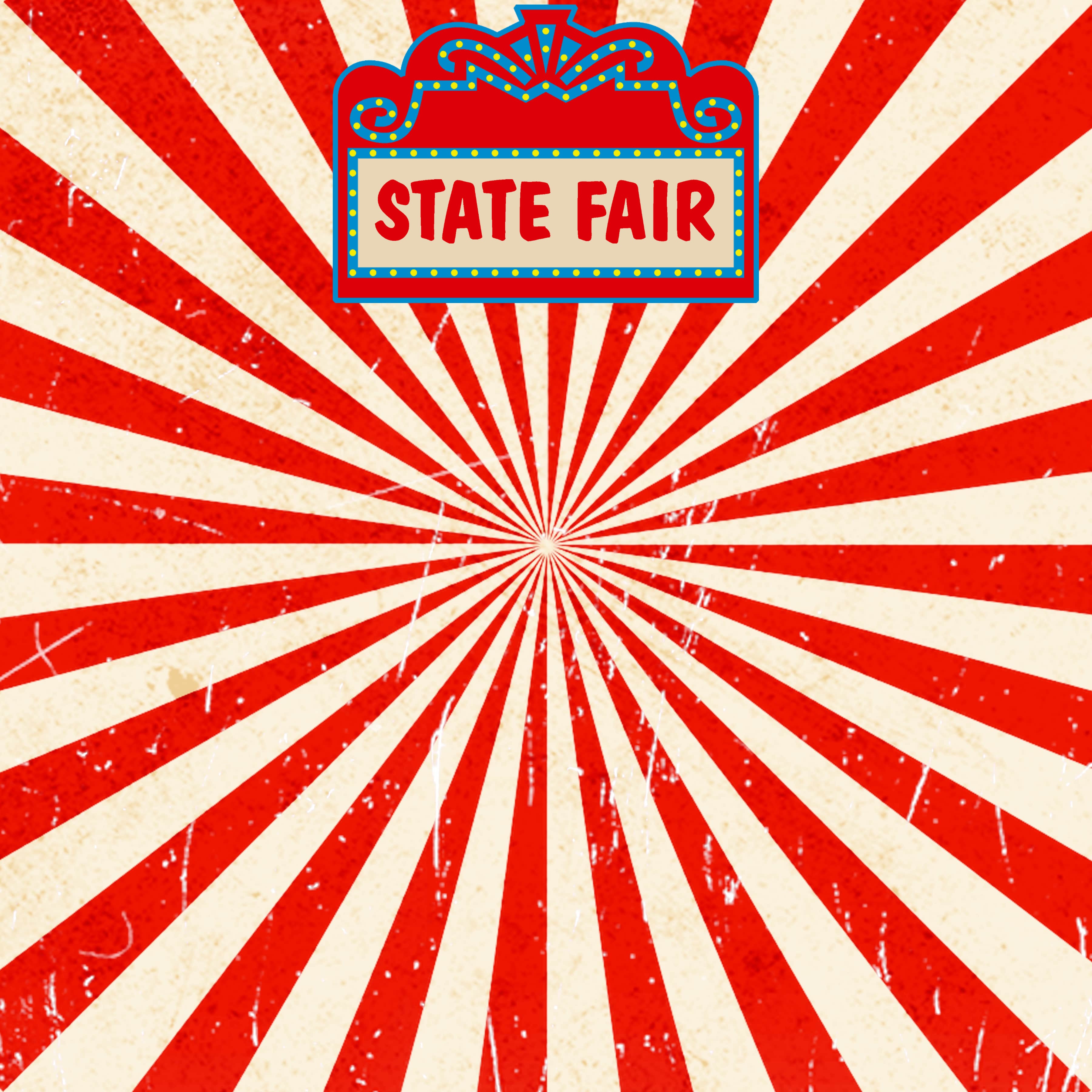 Fun At The Fair Collection State Fair 12 x 12 Double-Sided Scrapbook Paper by SSC Designs