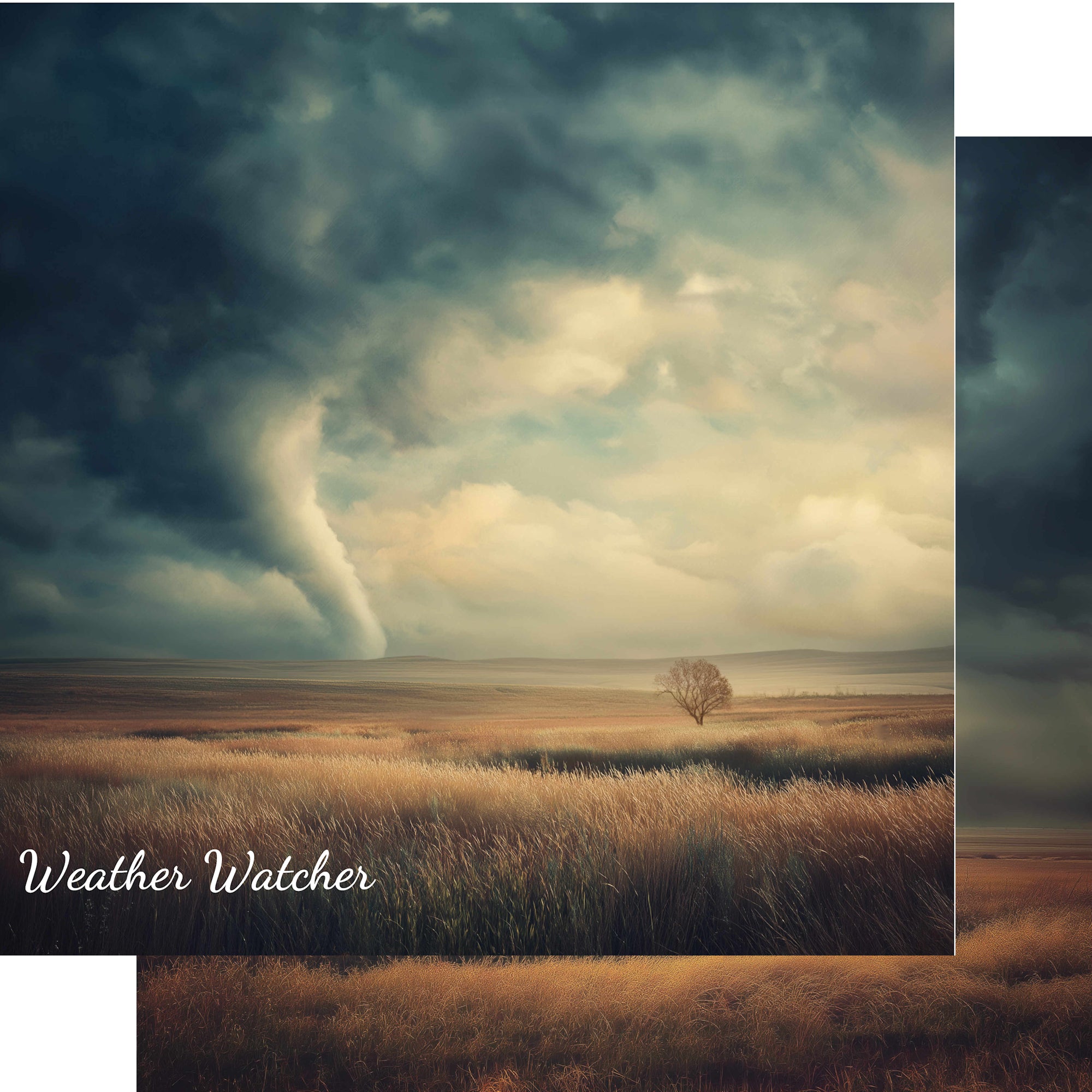 Weather Watcher 12 x 12 Double-Sided Scrapbook Paper by SSC Designs